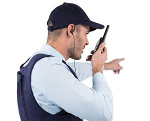 permiso de seguridad privada